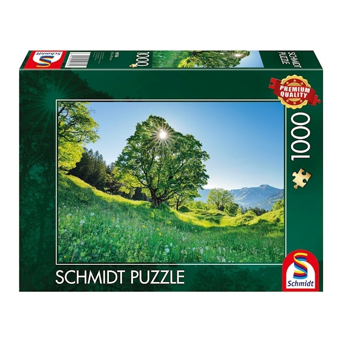 Schmidt - Berg-Ahorn im Sonnenlicht, St. Gallen - 1000 Teile Puzz - Nur CHF 19.90! Jetzt kaufen auf fluxed.ch