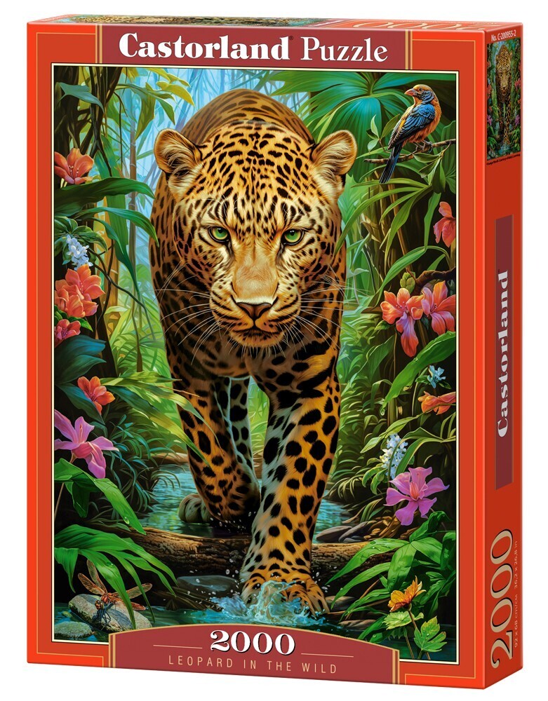 Castorland - Leopard in the Wild - 2000 Teile Puzzle - Nur CHF 26.90! Jetzt kaufen auf fluxed.ch