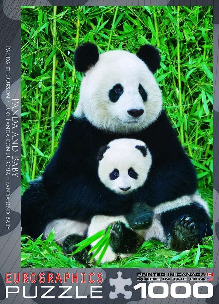 Eurographics - Panda und Baby - 1000 Teile Puzzle - Nur CHF 23.90! Jetzt kaufen auf fluxed.ch